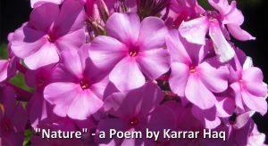 "Nature" Poem by Karrar Haq